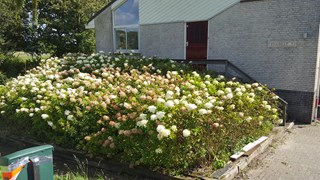 20170831_140906